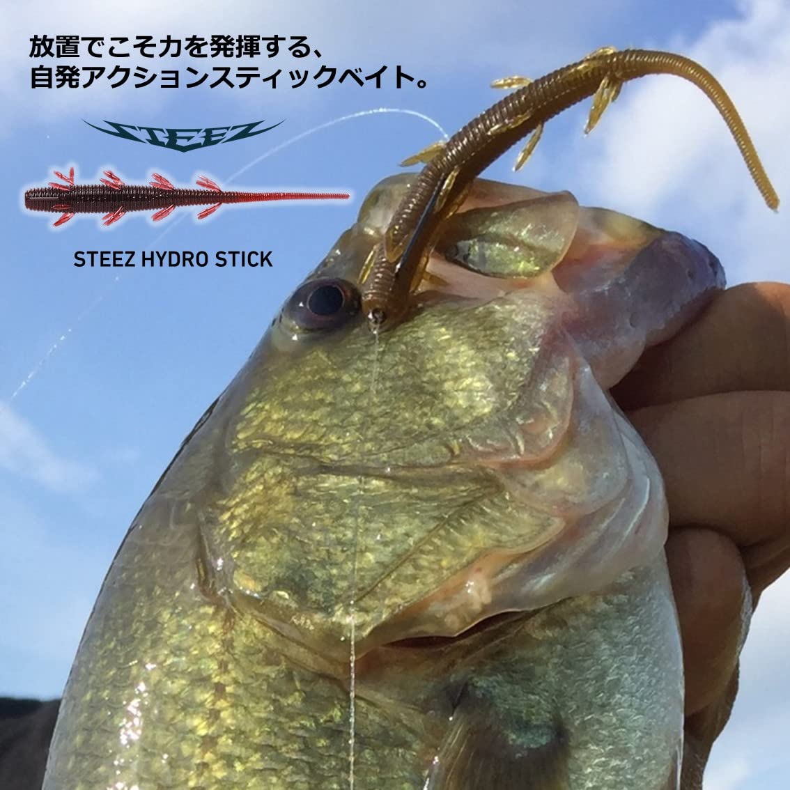 Amazon.co.jp: ダイワ(DAIWA) バス ワーム スティーズ ハイドロ